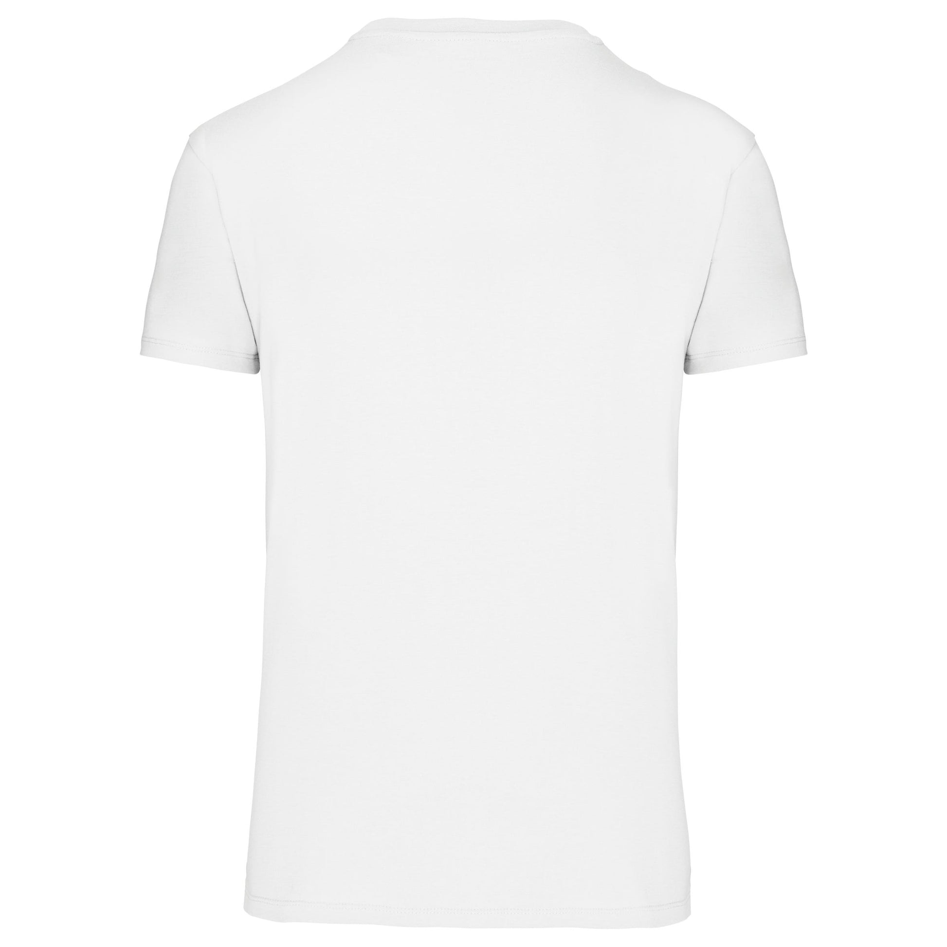 Heren-t-shirt BIO150 IC V-hals