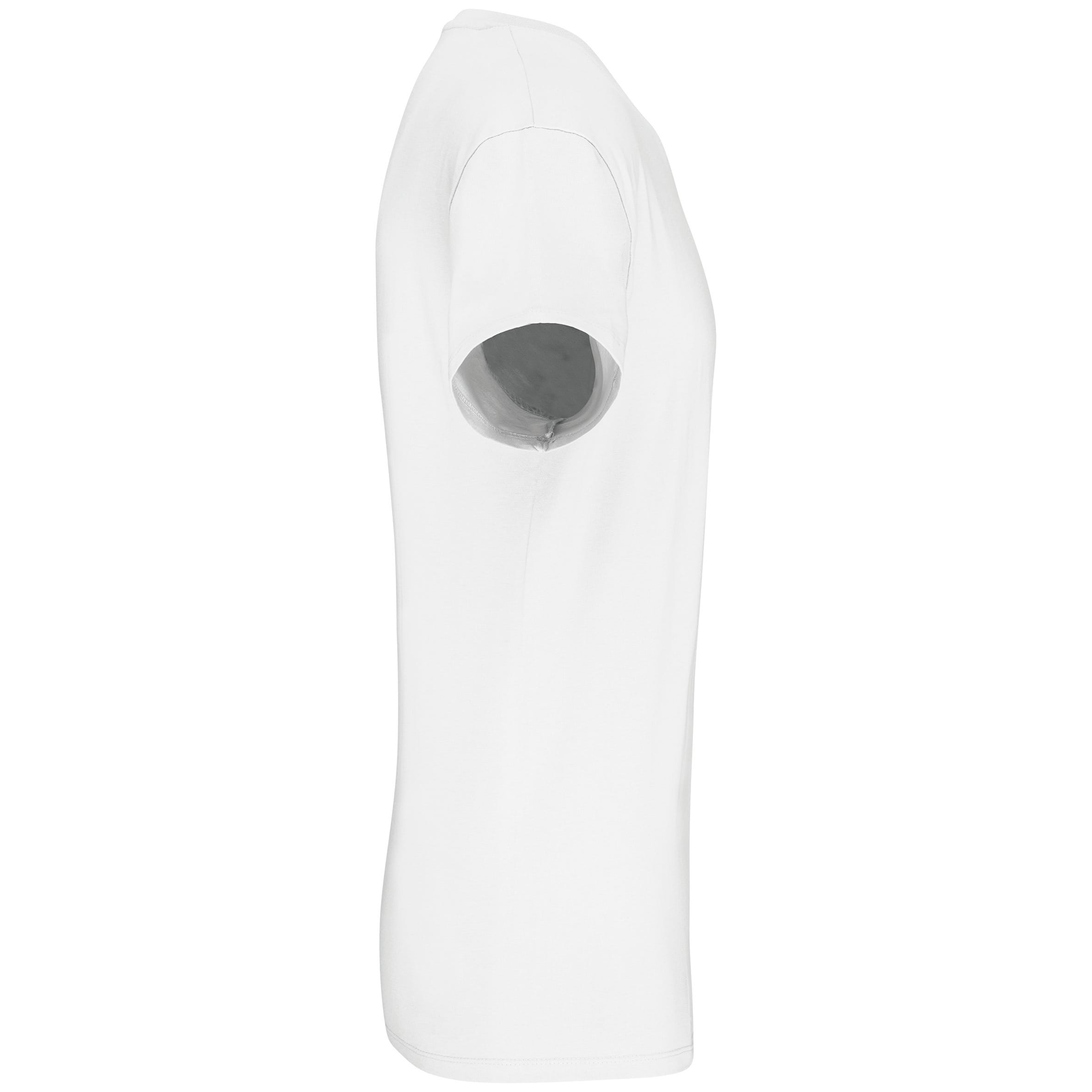 Heren-t-shirt BIO150 IC V-hals
