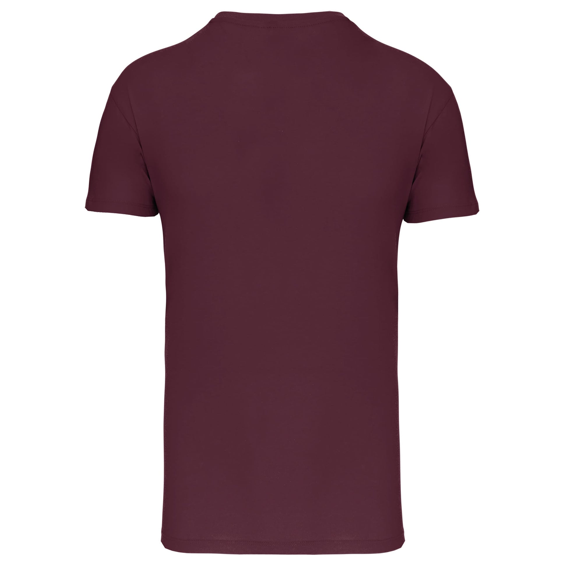Heren-t-shirt BIO150 IC V-hals