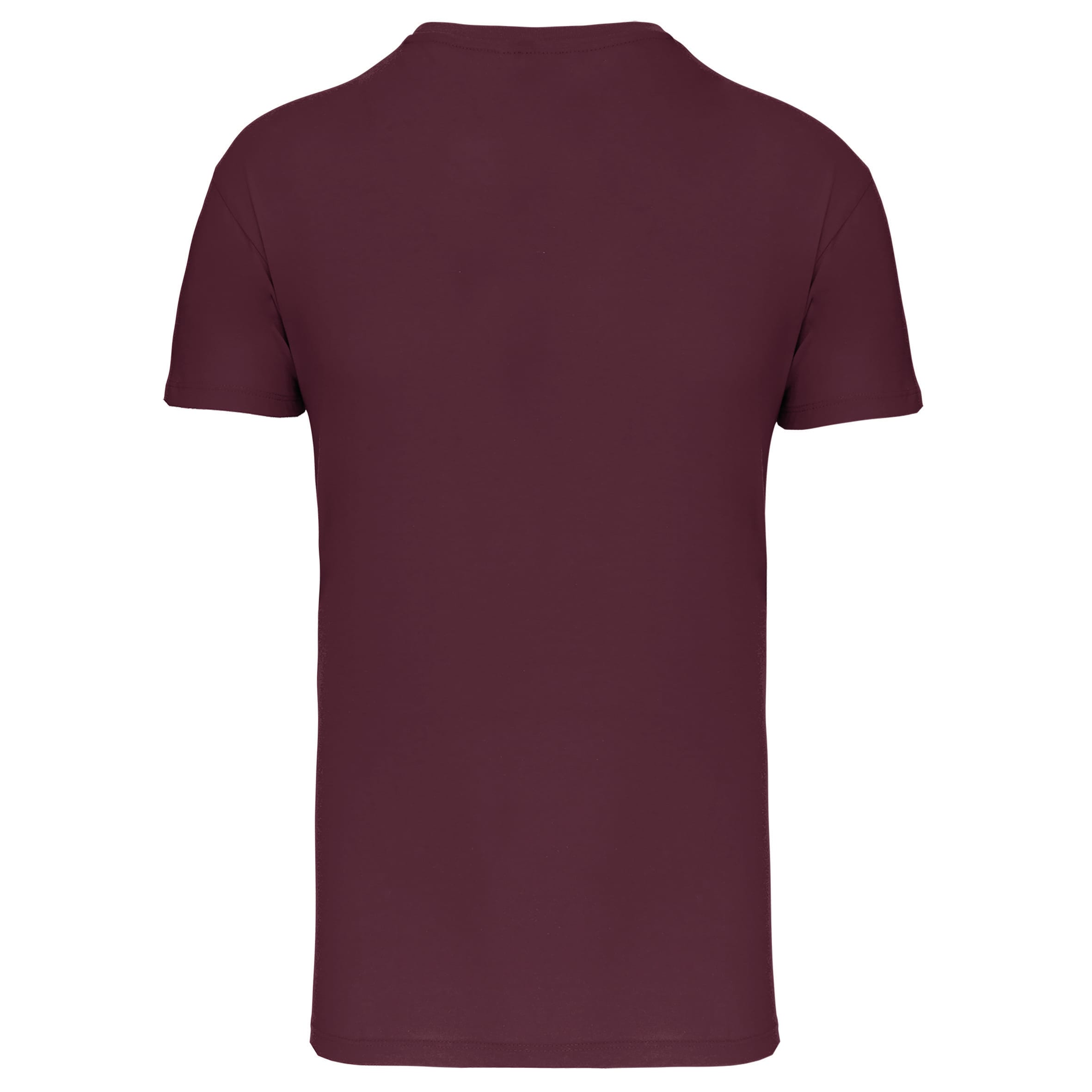 Heren-t-shirt BIO150 IC V-hals