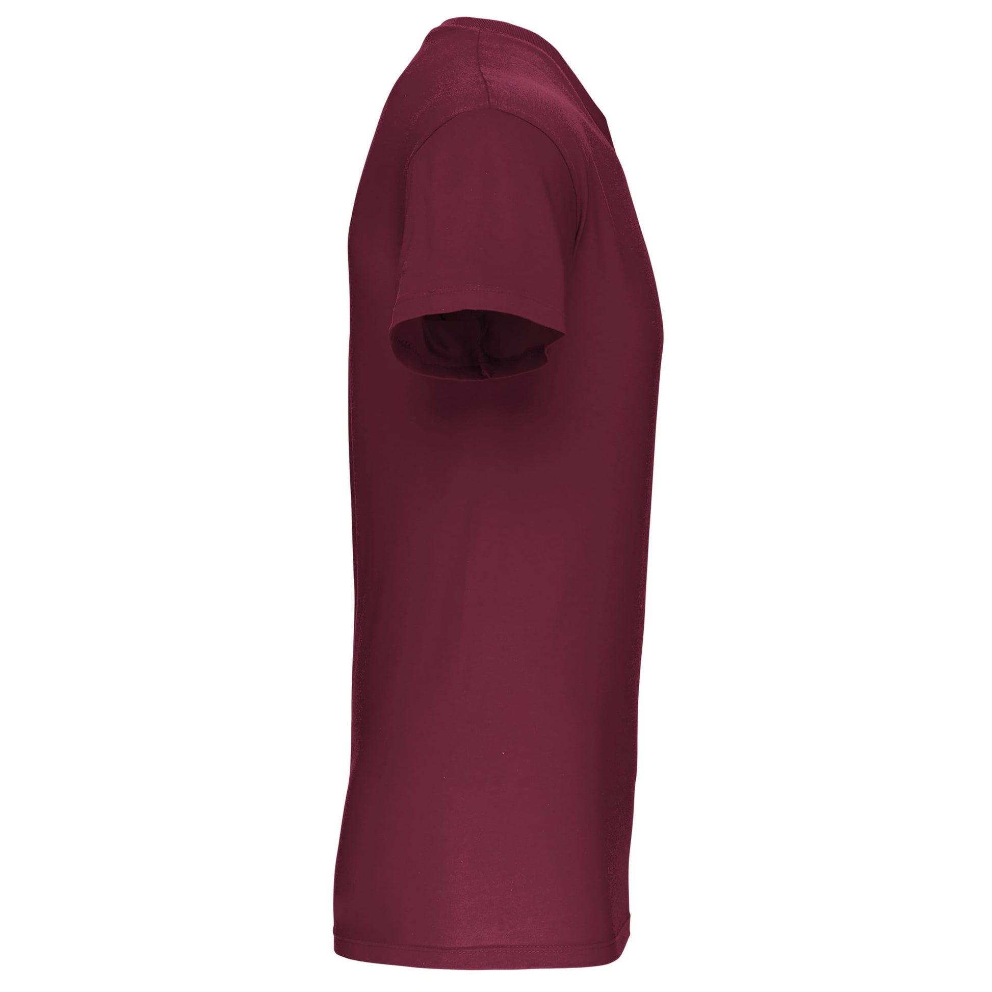 Heren-t-shirt BIO150 IC V-hals