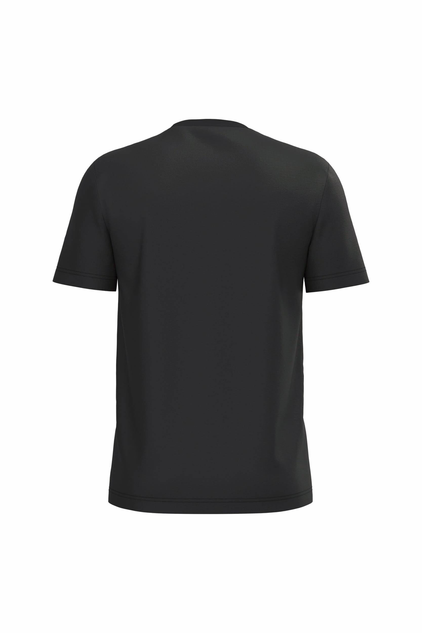 Heren T-shirt Bio190 IC