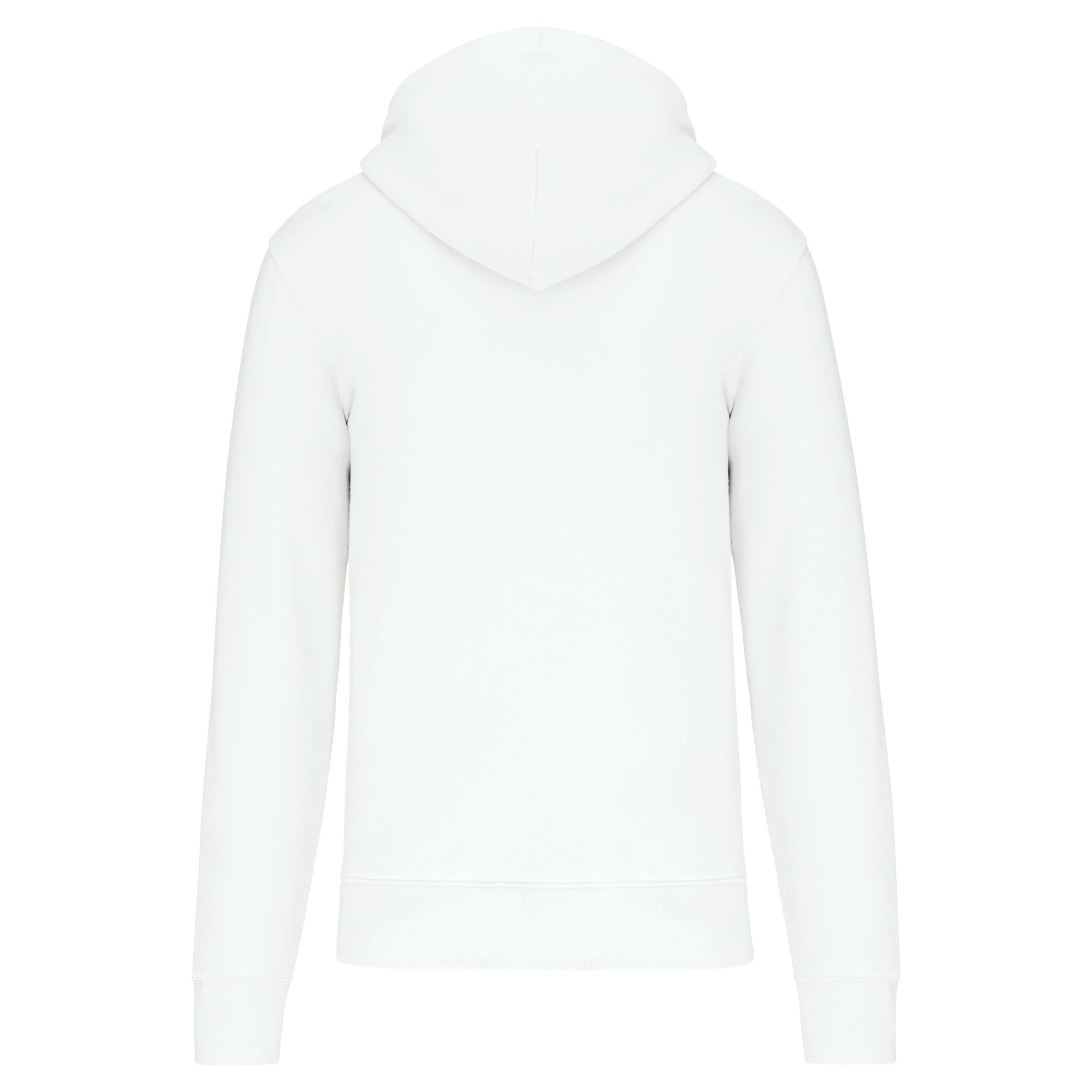 Ecologische herensweater met capuchon en ritssluiting