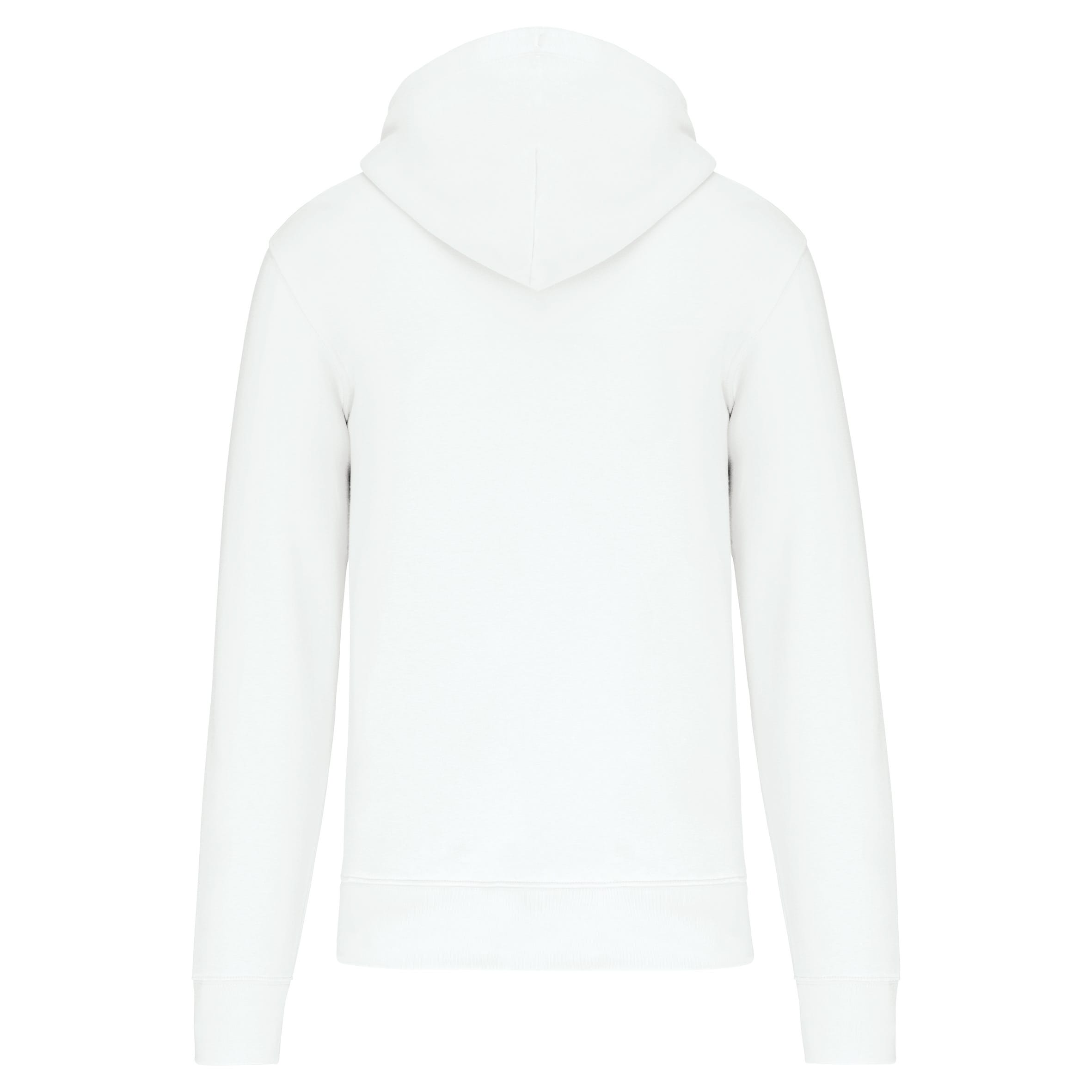 Ecologische herensweater met capuchon en ritssluiting