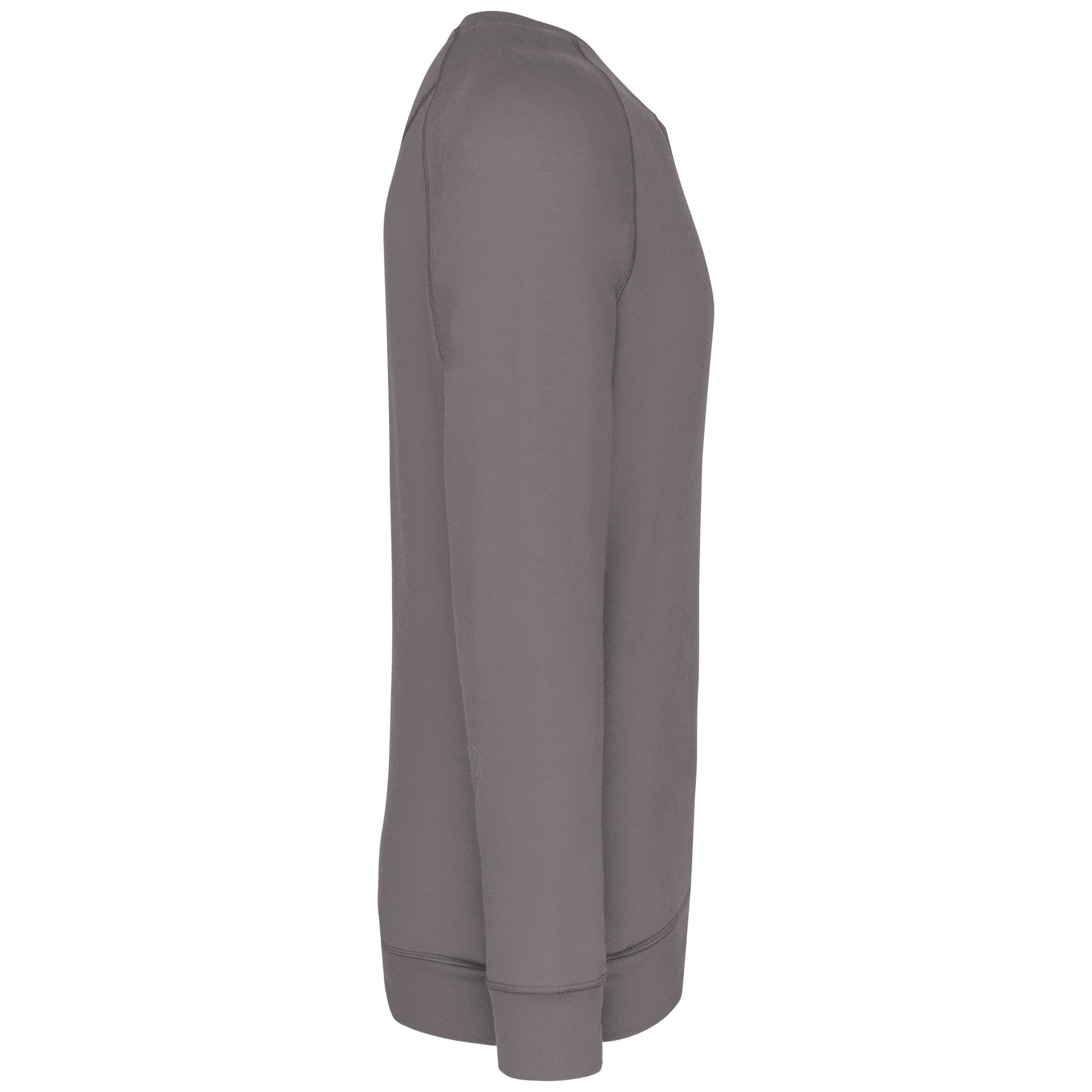 Herensweater BIO ronde hals raglanmouwen