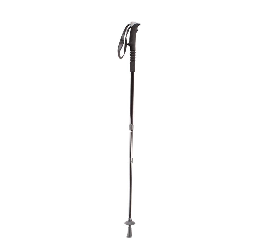 Wandelstok
