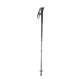 Wandelstok
