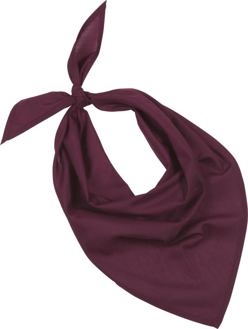 Fiesta - Bandana