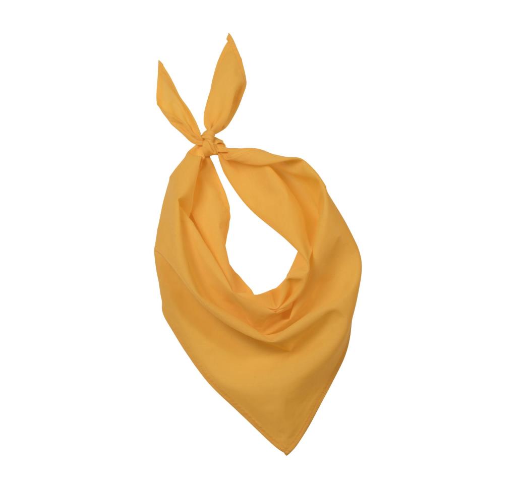 Fiesta - Bandana