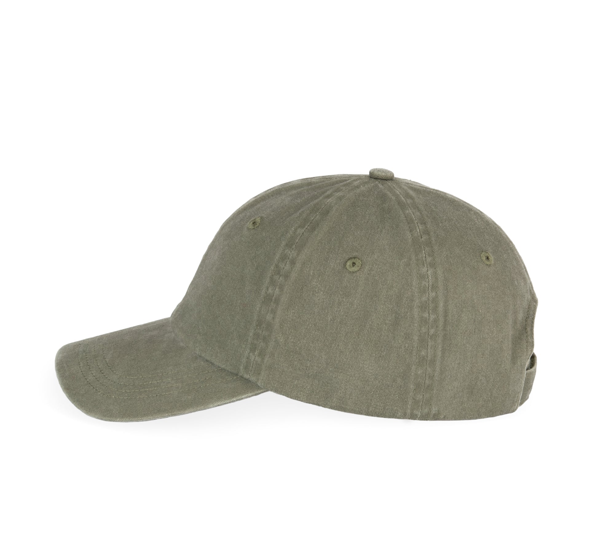 Vintage pet - Dad cap