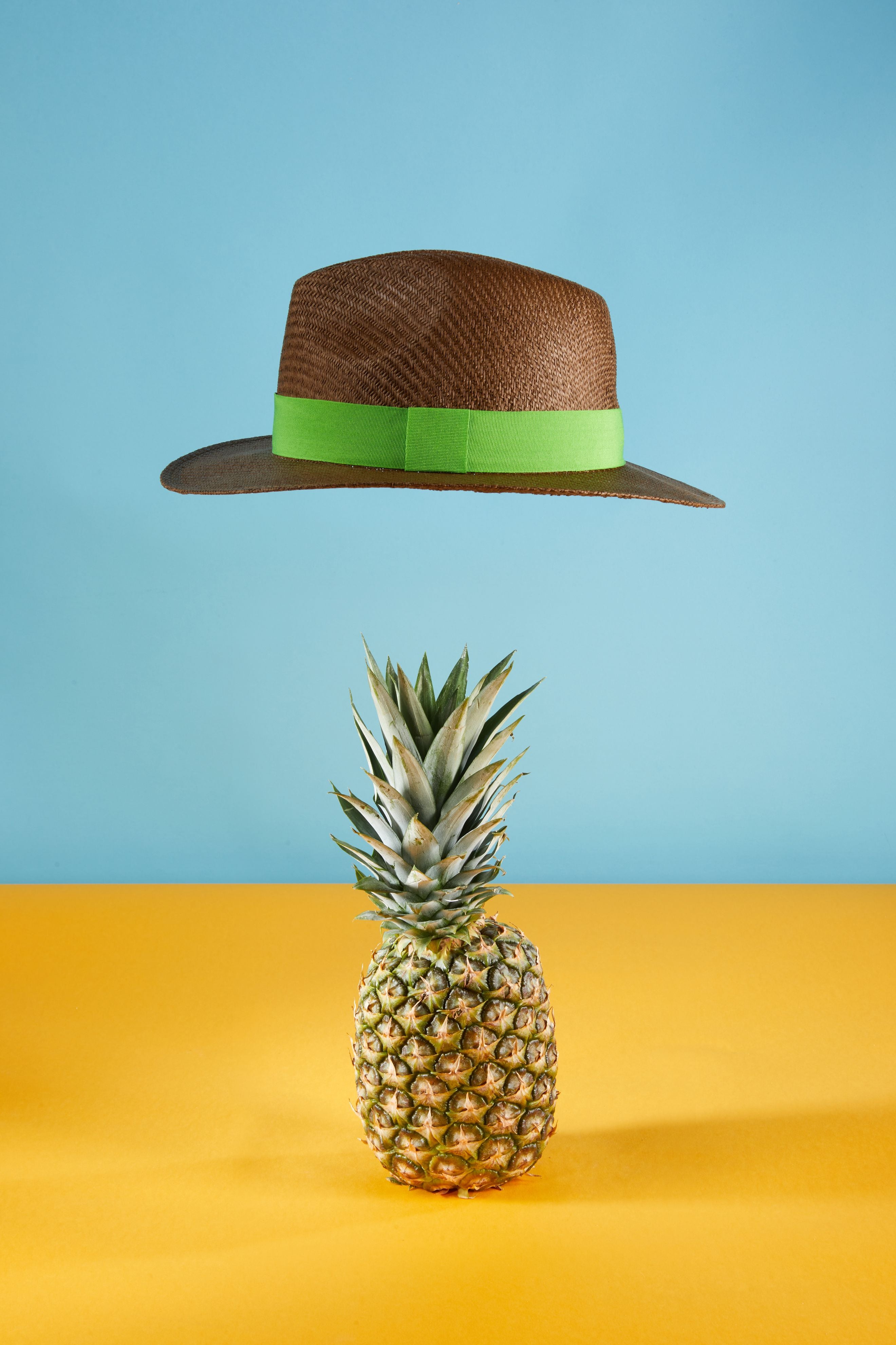 Traveller Hat