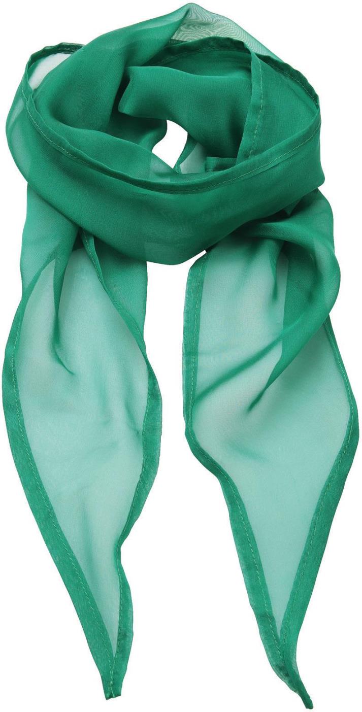 Ladies Chiffon Scarf