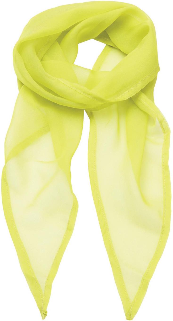 Ladies Chiffon Scarf