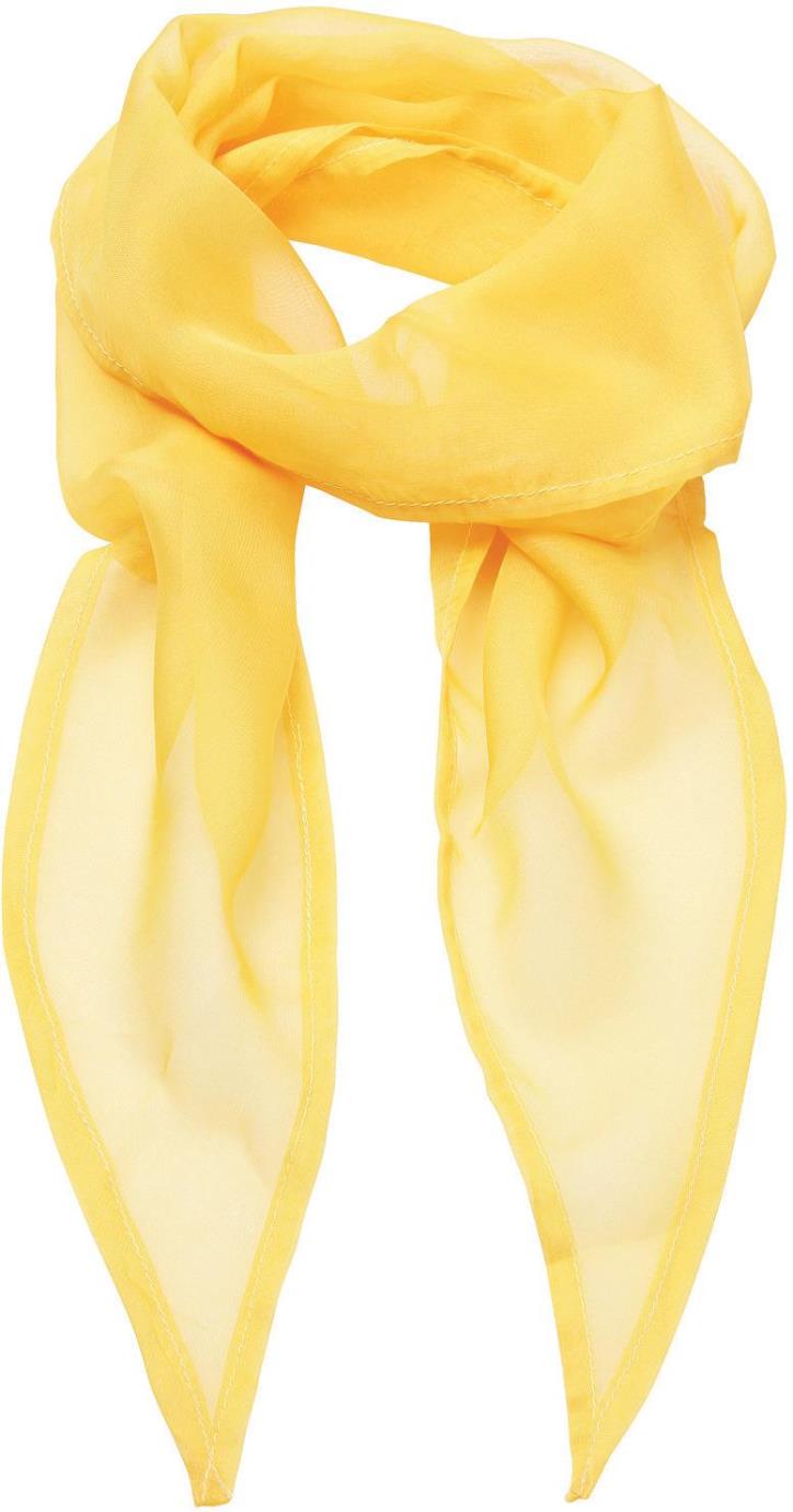 Ladies Chiffon Scarf