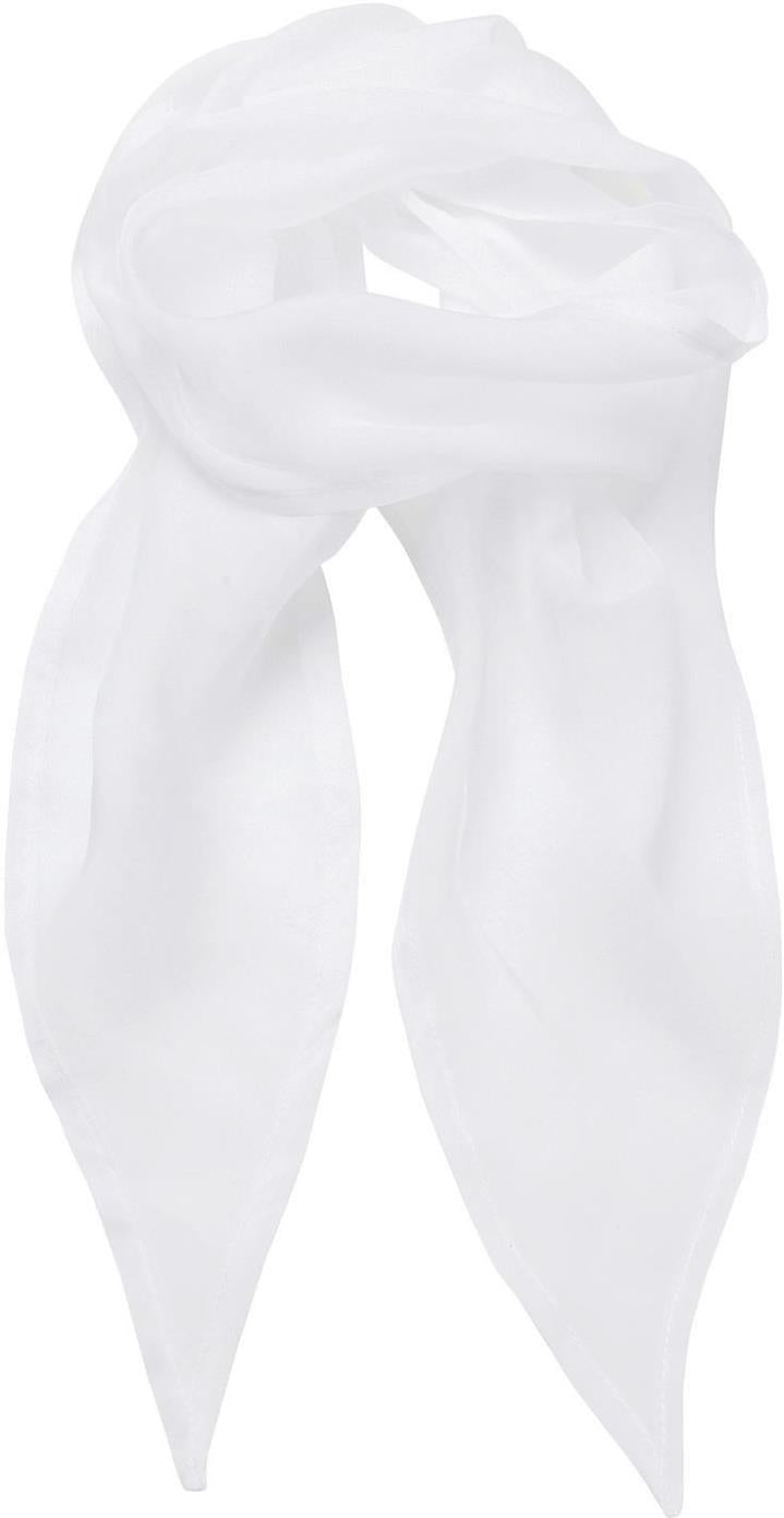 Ladies Chiffon Scarf