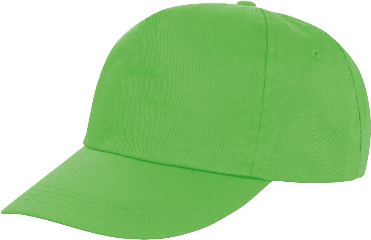 Houston 5-panel Printers Cap
