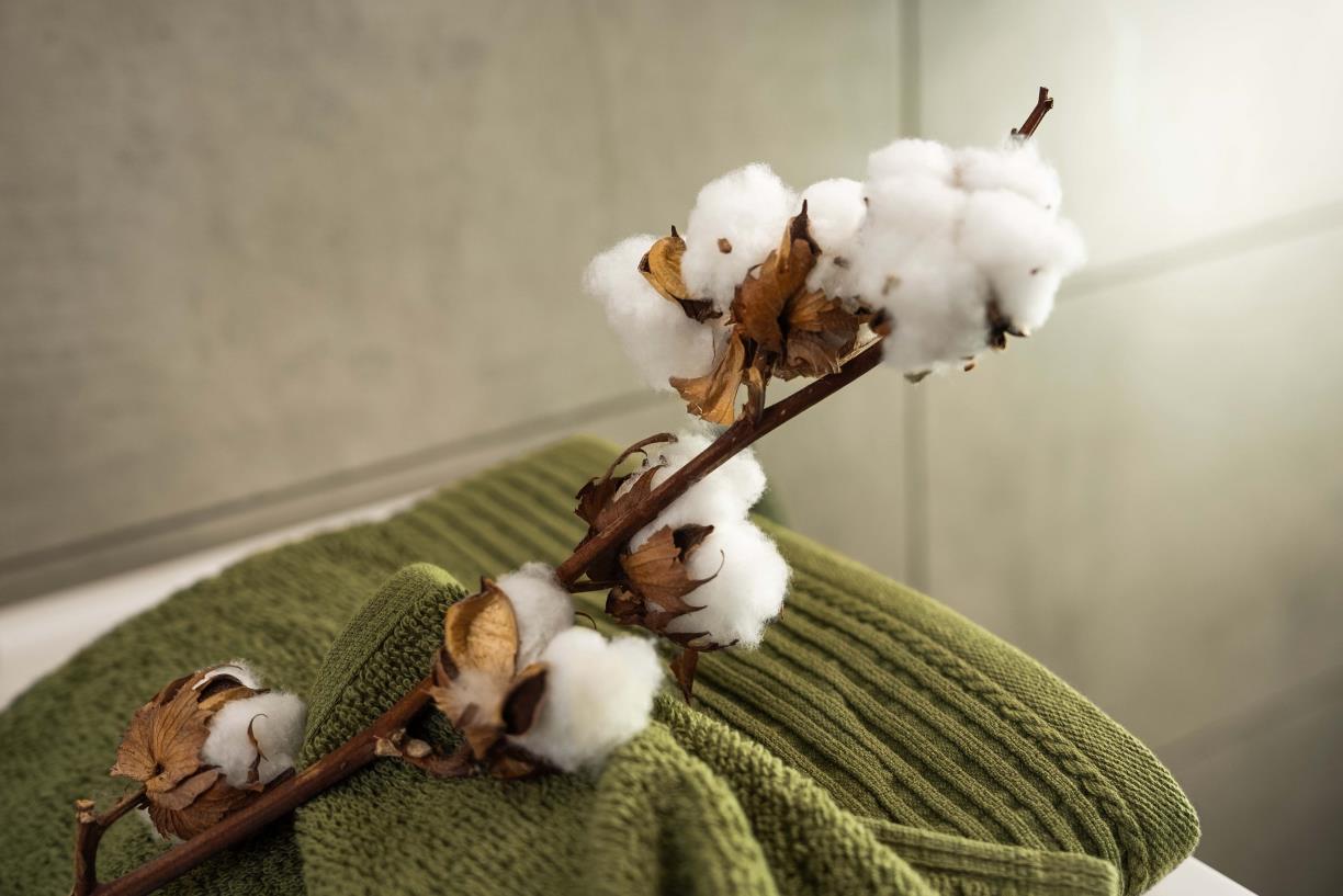 Washcloth
