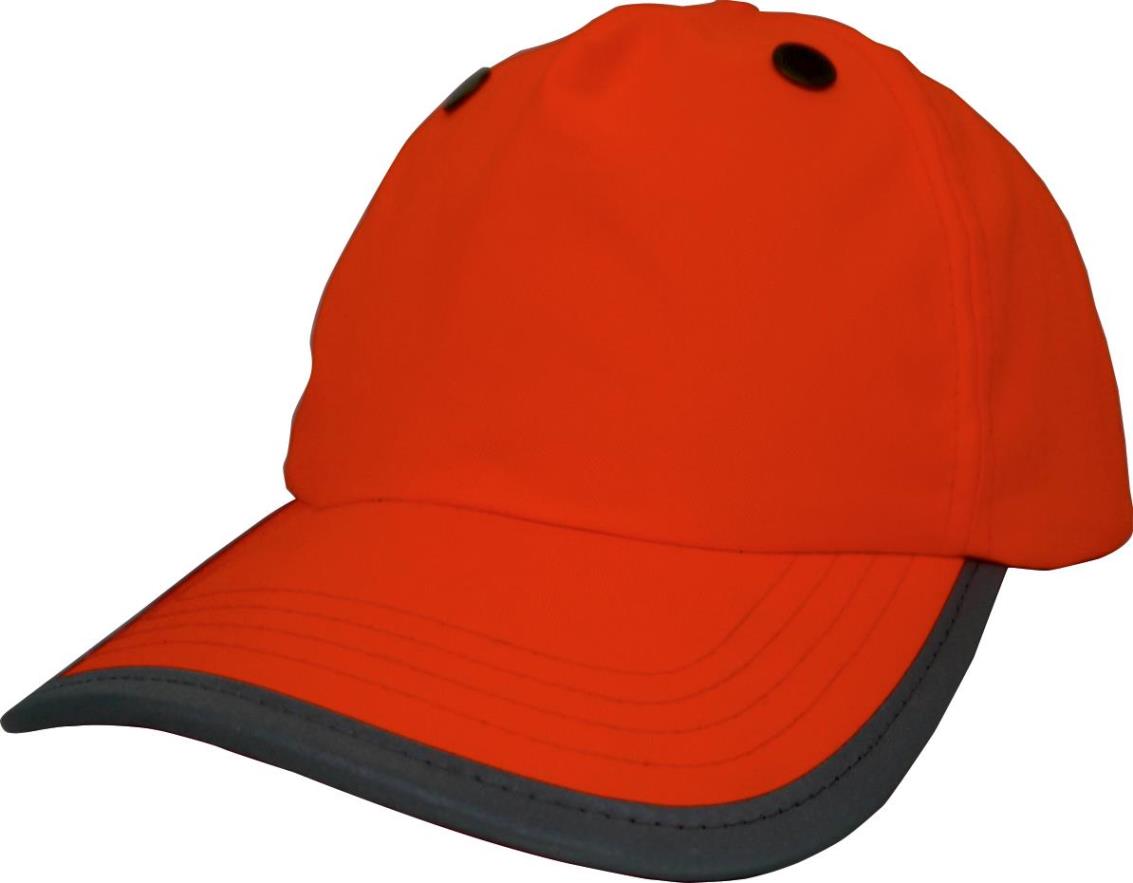 Bump 5 panels Cap
